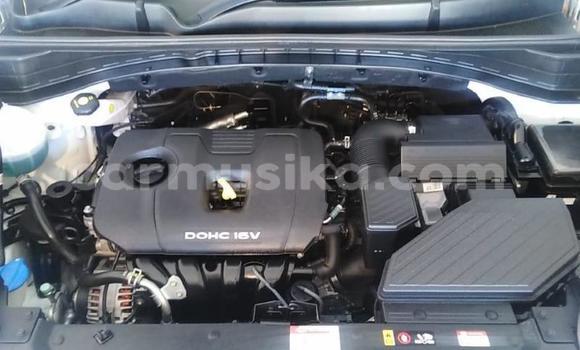 Buy Used Kia Sportage Other Car in Beitbridge in Matabeleland South Buy Used Kia Sportage Other Car in Beitbridge in Matabeleland South