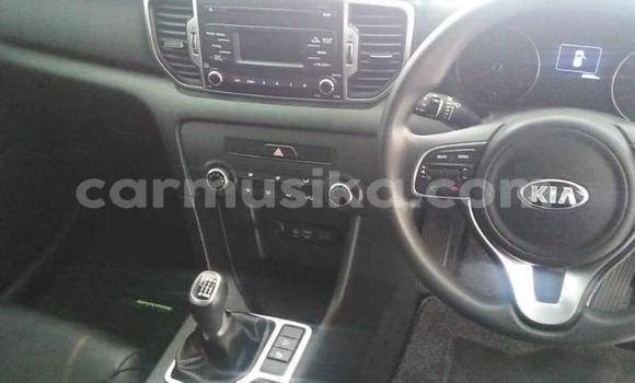 Buy Used Kia Sportage Other Car in Beitbridge in Matabeleland South Buy Used Kia Sportage Other Car in Beitbridge in Matabeleland South
