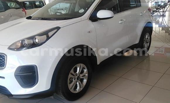 Buy Used Kia Sportage Other Car in Beitbridge in Matabeleland South Buy Used Kia Sportage Other Car in Beitbridge in Matabeleland South