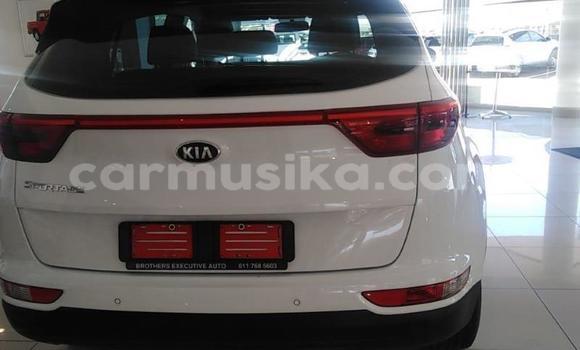 Buy Used Kia Sportage Other Car in Beitbridge in Matabeleland South Buy Used Kia Sportage Other Car in Beitbridge in Matabeleland South