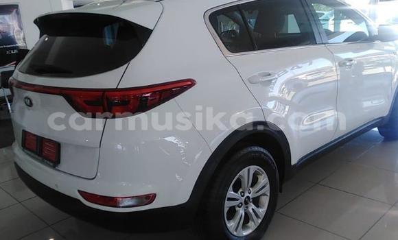 Buy Used Kia Sportage Other Car in Beitbridge in Matabeleland South Buy Used Kia Sportage Other Car in Beitbridge in Matabeleland South