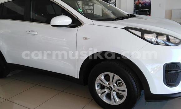 Buy Used Kia Sportage Other Car in Beitbridge in Matabeleland South Buy Used Kia Sportage Other Car in Beitbridge in Matabeleland South