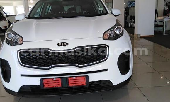 Buy Used Kia Sportage Other Car in Beitbridge in Matabeleland South Buy Used Kia Sportage Other Car in Beitbridge in Matabeleland South