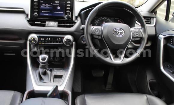 Buy Used Toyota RAV4 Silver Car in Beitbridge in Matabeleland South Buy Used Toyota RAV4 Silver Car in Beitbridge in Matabeleland South
