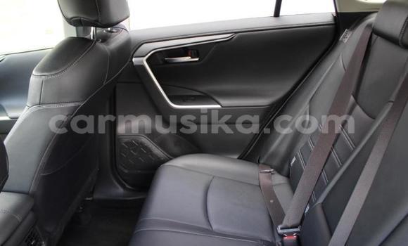 Buy Used Toyota RAV4 Silver Car in Beitbridge in Matabeleland South Buy Used Toyota RAV4 Silver Car in Beitbridge in Matabeleland South