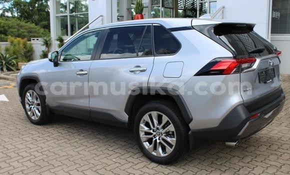 Buy Used Toyota RAV4 Silver Car in Beitbridge in Matabeleland South Buy Used Toyota RAV4 Silver Car in Beitbridge in Matabeleland South
