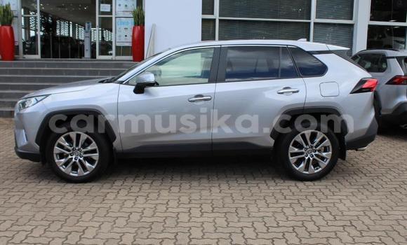 Buy Used Toyota RAV4 Silver Car in Beitbridge in Matabeleland South Buy Used Toyota RAV4 Silver Car in Beitbridge in Matabeleland South
