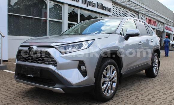 Buy Used Toyota RAV4 Silver Car in Beitbridge in Matabeleland South Buy Used Toyota RAV4 Silver Car in Beitbridge in Matabeleland South