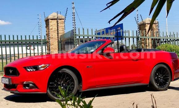Nunua Ilio tumika Ford Mustang Nyekundu Gari ndani ya Beitbridge nchini Matabeleland Kusini
