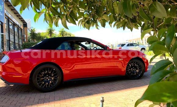 Buy Used Ford Mustang Red Car in Beitbridge in Matabeleland South Buy Used Ford Mustang Red Car in Beitbridge in Matabeleland South