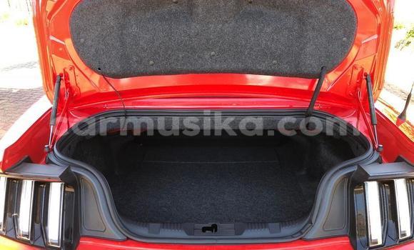 Buy Used Ford Mustang Red Car in Beitbridge in Matabeleland South Buy Used Ford Mustang Red Car in Beitbridge in Matabeleland South