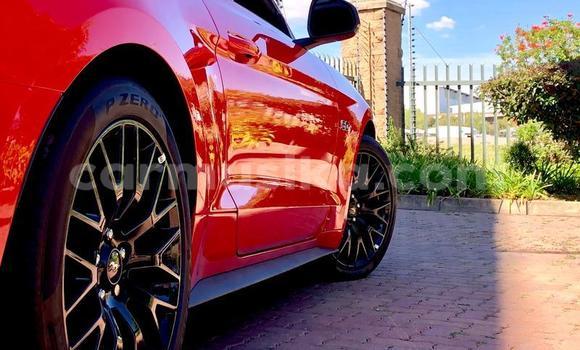Buy Used Ford Mustang Red Car in Beitbridge in Matabeleland South Buy Used Ford Mustang Red Car in Beitbridge in Matabeleland South