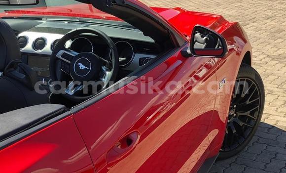 Buy Used Ford Mustang Red Car in Beitbridge in Matabeleland South Buy Used Ford Mustang Red Car in Beitbridge in Matabeleland South