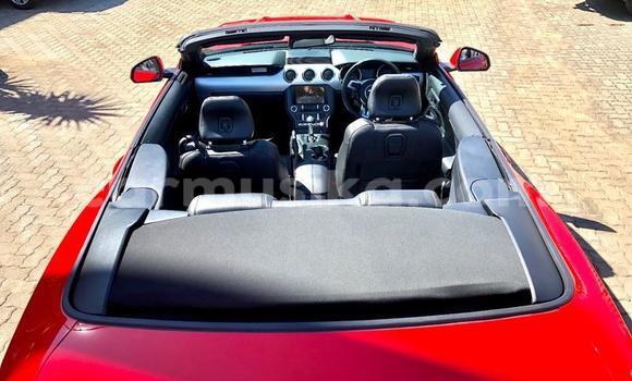 Buy Used Ford Mustang Red Car in Beitbridge in Matabeleland South Buy Used Ford Mustang Red Car in Beitbridge in Matabeleland South