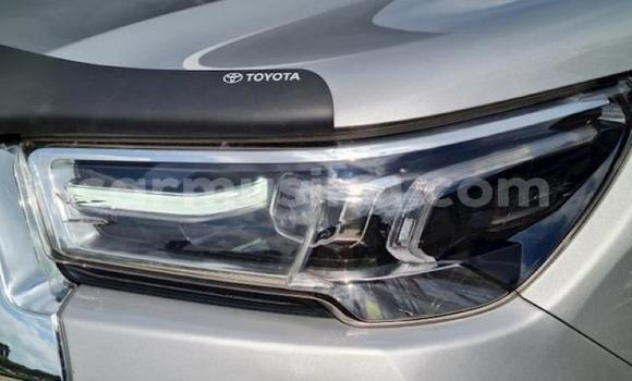 Tenga Tsaru Toyota Hilux Sirivha Mota in Beitbridge in Matabeleland South Tenga Tsaru Toyota Hilux Sirivha Mota in Beitbridge in Matabeleland South