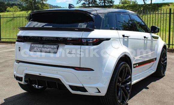Buy Used Land Rover Range Rover Evoque White Car in Beitbridge in Matabeleland South
