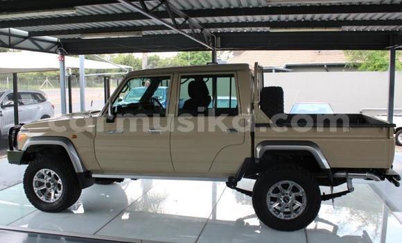 Buy Used Toyota Land Cruiser Beige Car in Beitbridge in Matabeleland South Buy Used Toyota Land Cruiser Beige Car in Beitbridge in Matabeleland South