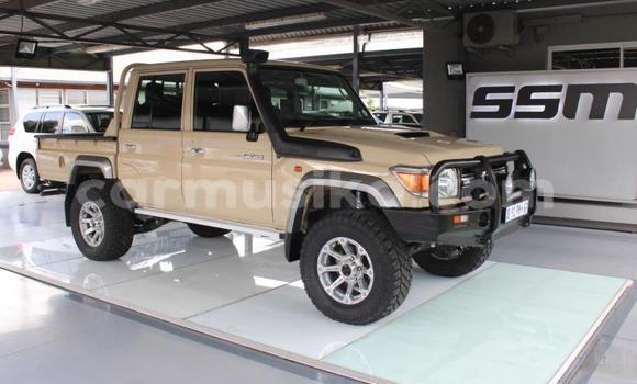 Buy Used Toyota Land Cruiser Beige Car in Beitbridge in Matabeleland South Buy Used Toyota Land Cruiser Beige Car in Beitbridge in Matabeleland South