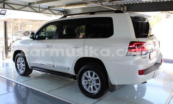 Tenga Tsaru Toyota Land Cruiser Prado Chena Mota in Beitbridge in Matabeleland South Tenga Tsaru Toyota Land Cruiser Prado Chena Mota in Beitbridge in Matabeleland South