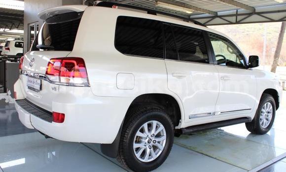 Tenga Tsaru Toyota Land Cruiser Prado Chena Mota in Beitbridge in Matabeleland South Tenga Tsaru Toyota Land Cruiser Prado Chena Mota in Beitbridge in Matabeleland South