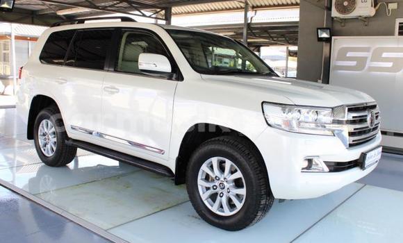 Tenga Tsaru Toyota Land Cruiser Prado Chena Mota in Beitbridge in Matabeleland South Tenga Tsaru Toyota Land Cruiser Prado Chena Mota in Beitbridge in Matabeleland South