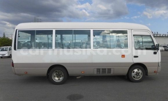 Buy Used Toyota Coaster Beige Car in Beitbridge in Matabeleland South Buy Used Toyota Coaster Beige Car in Beitbridge in Matabeleland South