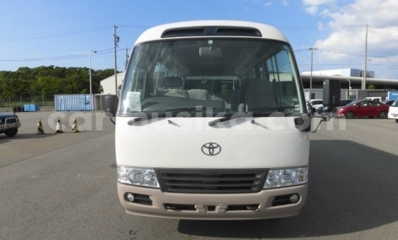 Buy Used Toyota Coaster Beige Car in Beitbridge in Matabeleland South Buy Used Toyota Coaster Beige Car in Beitbridge in Matabeleland South