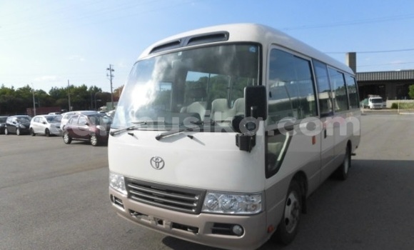 Buy Used Toyota Coaster Beige Car in Beitbridge in Matabeleland South Buy Used Toyota Coaster Beige Car in Beitbridge in Matabeleland South