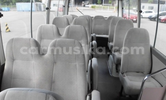 Buy Used Toyota Coaster Beige Car in Beitbridge in Matabeleland South Buy Used Toyota Coaster Beige Car in Beitbridge in Matabeleland South