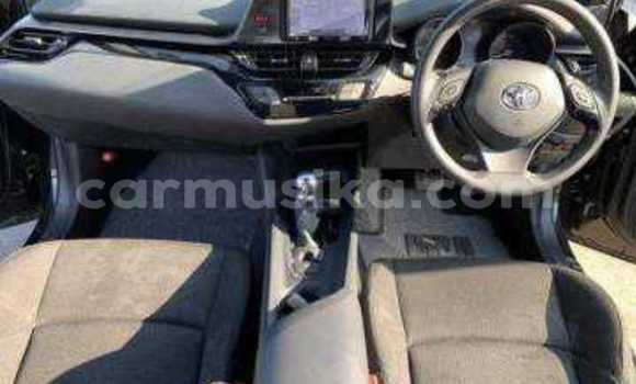 Tenga Tsaru Toyota C-HR Sirivha Mota in Beitbridge in Matabeleland South Tenga Tsaru Toyota C-HR Sirivha Mota in Beitbridge in Matabeleland South