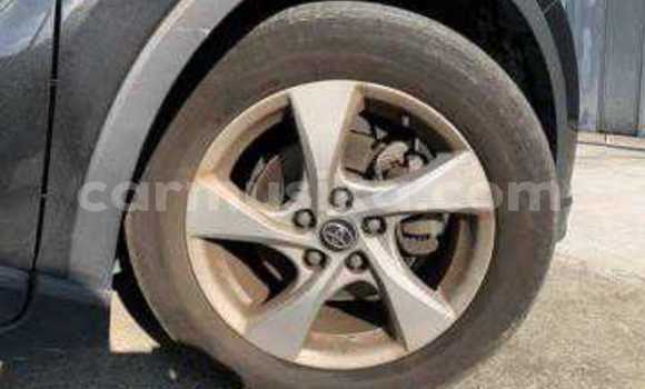 Tenga Tsaru Toyota C-HR Sirivha Mota in Beitbridge in Matabeleland South Tenga Tsaru Toyota C-HR Sirivha Mota in Beitbridge in Matabeleland South