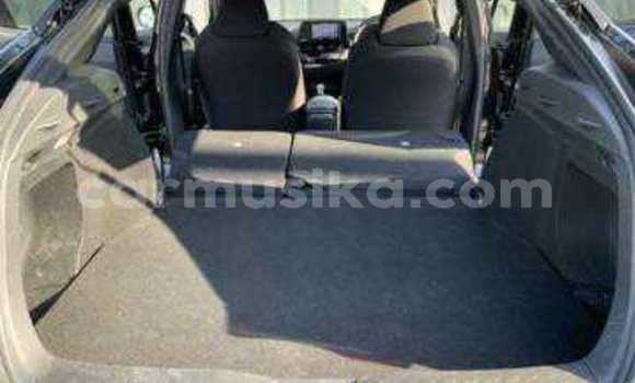 Tenga Tsaru Toyota C-HR Sirivha Mota in Beitbridge in Matabeleland South Tenga Tsaru Toyota C-HR Sirivha Mota in Beitbridge in Matabeleland South