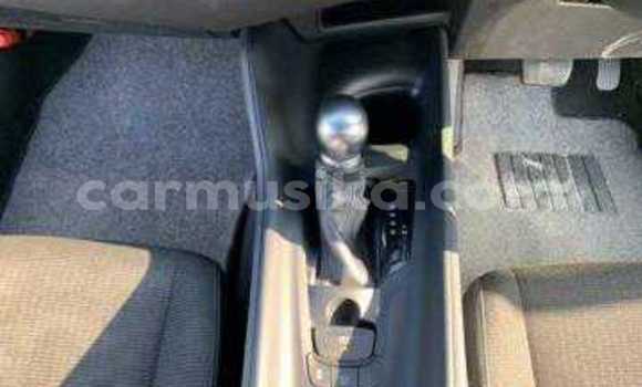 Tenga Tsaru Toyota C-HR Sirivha Mota in Beitbridge in Matabeleland South Tenga Tsaru Toyota C-HR Sirivha Mota in Beitbridge in Matabeleland South