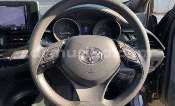 Tenga Tsaru Toyota C-HR Sirivha Mota in Beitbridge in Matabeleland South Tenga Tsaru Toyota C-HR Sirivha Mota in Beitbridge in Matabeleland South