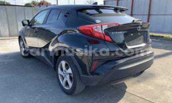 Tenga Tsaru Toyota C-HR Sirivha Mota in Beitbridge in Matabeleland South Tenga Tsaru Toyota C-HR Sirivha Mota in Beitbridge in Matabeleland South