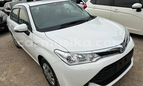 Acheter Import Voiture Toyota Axio Blanc à Bulawayo, Bulawayo Acheter Import Voiture Toyota Axio Blanc à Bulawayo, Bulawayo