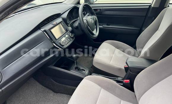 Acheter Import Voiture Toyota Axio Blanc à Bulawayo, Bulawayo Acheter Import Voiture Toyota Axio Blanc à Bulawayo, Bulawayo