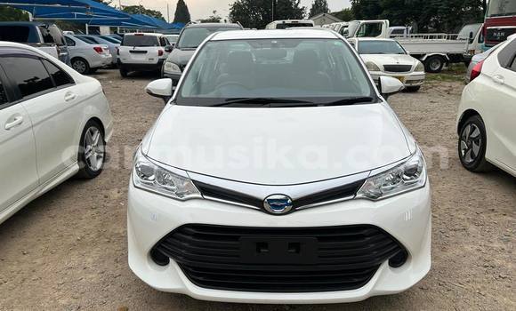 Acheter Import Voiture Toyota Axio Blanc à Bulawayo, Bulawayo Acheter Import Voiture Toyota Axio Blanc à Bulawayo, Bulawayo