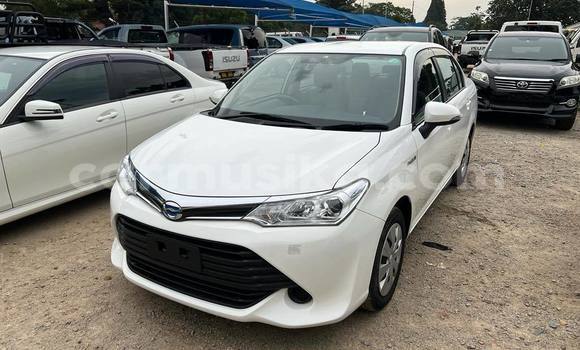 Acheter Import Voiture Toyota Axio Blanc à Bulawayo, Bulawayo Acheter Import Voiture Toyota Axio Blanc à Bulawayo, Bulawayo
