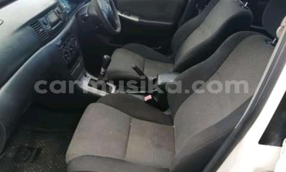 Buy Used Toyota Runx White Car in Beitbridge in Matabeleland South Buy Used Toyota Runx White Car in Beitbridge in Matabeleland South