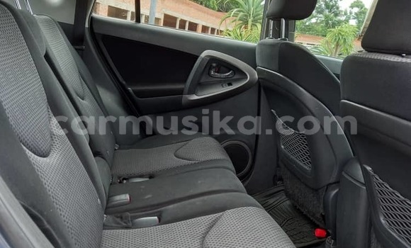 Buy Used Toyota RAV4 Other Car in Harare in Harare Buy Used Toyota RAV4 Other Car in Harare in Harare