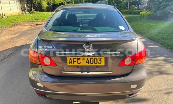 Tenga Tsaru Nissan Bluebird Sylphy Zvimwe Mota in Harare in Harare Tenga Tsaru Nissan Bluebird Sylphy Zvimwe Mota in Harare in Harare