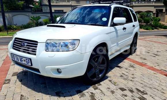 Nunua Ilio tumika Subaru Forester Nyeupe Gari ndani ya Beitbridge nchini Matabeleland Kusini