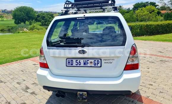 Tenga Tsaru Subaru Forester Chena Mota in Beitbridge in Matabeleland South Tenga Tsaru Subaru Forester Chena Mota in Beitbridge in Matabeleland South