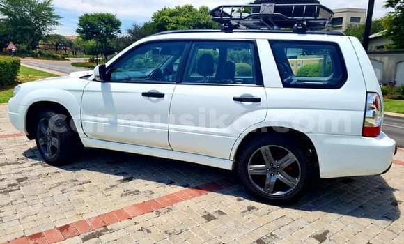 Tenga Tsaru Subaru Forester Chena Mota in Beitbridge in Matabeleland South Tenga Tsaru Subaru Forester Chena Mota in Beitbridge in Matabeleland South