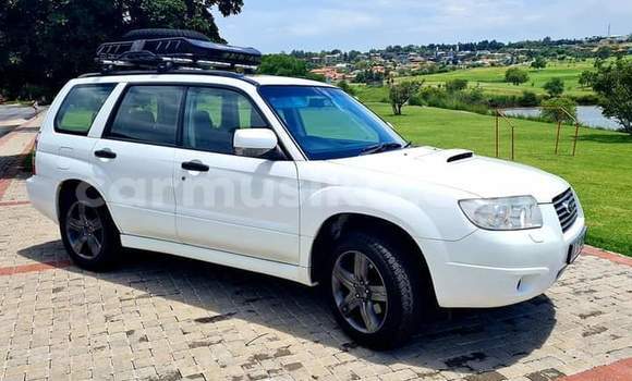 Tenga Tsaru Subaru Forester Chena Mota in Beitbridge in Matabeleland South Tenga Tsaru Subaru Forester Chena Mota in Beitbridge in Matabeleland South