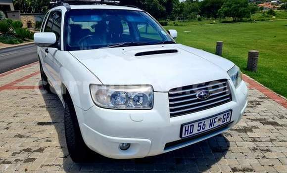 Tenga Tsaru Subaru Forester Chena Mota in Beitbridge in Matabeleland South Tenga Tsaru Subaru Forester Chena Mota in Beitbridge in Matabeleland South