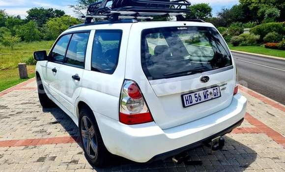 Tenga Tsaru Subaru Forester Chena Mota in Beitbridge in Matabeleland South Tenga Tsaru Subaru Forester Chena Mota in Beitbridge in Matabeleland South