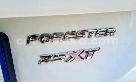 Tenga Tsaru Subaru Forester Chena Mota in Beitbridge in Matabeleland South Tenga Tsaru Subaru Forester Chena Mota in Beitbridge in Matabeleland South