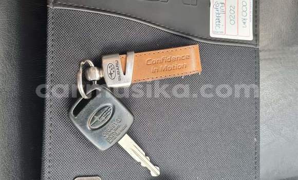 Tenga Tsaru Subaru Forester Chena Mota in Beitbridge in Matabeleland South Tenga Tsaru Subaru Forester Chena Mota in Beitbridge in Matabeleland South